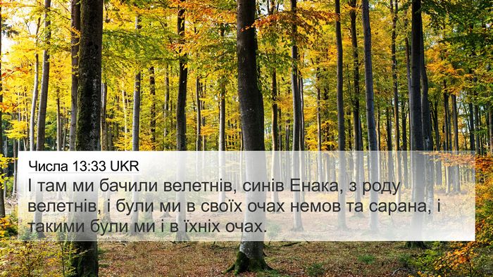 Числа 13:33 UKR Bible Verse Image