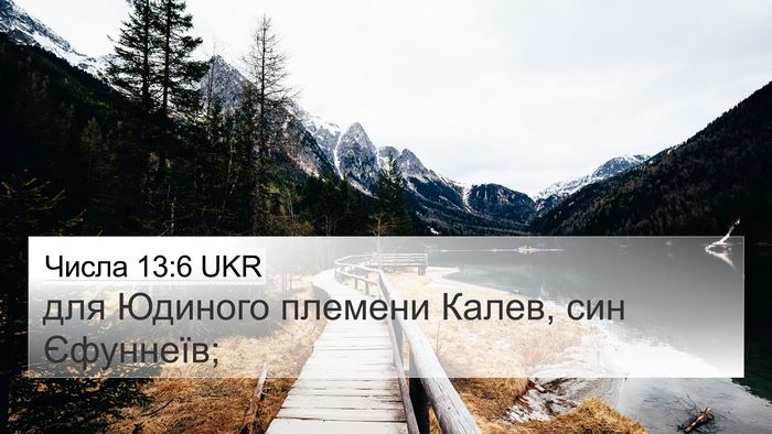 Числа 13:6 UKR Bible Verse Image