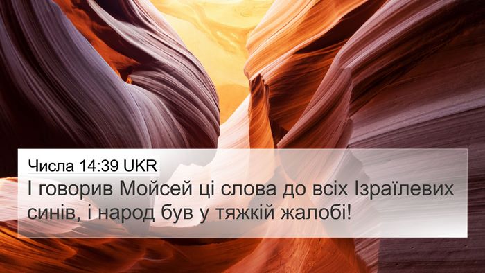 Числа 14:39 UKR Bible Verse Image