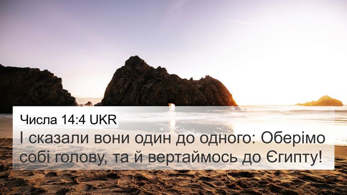 Числа 14:4 UKR Bible Verse Image