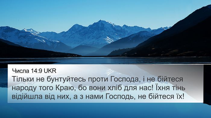 Числа 14:9 UKR Bible Verse Image