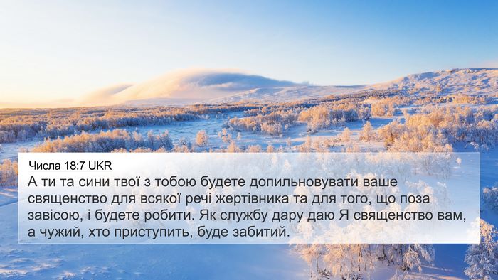 Числа 18:7 UKR Bible Verse Image