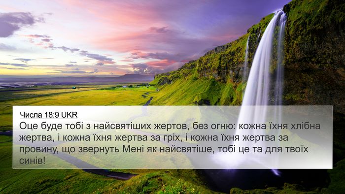 Числа 18:9 UKR Bible Verse Image