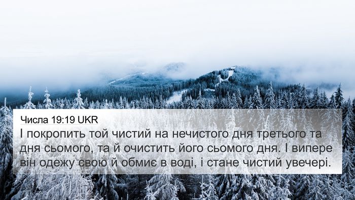 Числа 19:19 UKR Bible Verse Image