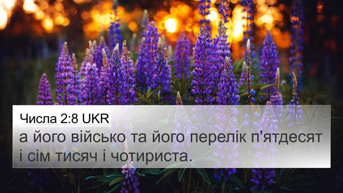 Числа 2:8 UKR 4K Wallpaper - а його військо та його - 4K Wallpaper Bible Verse
