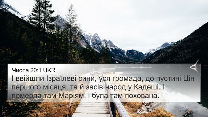 Числа 20:1 UKR Bible Verse Image