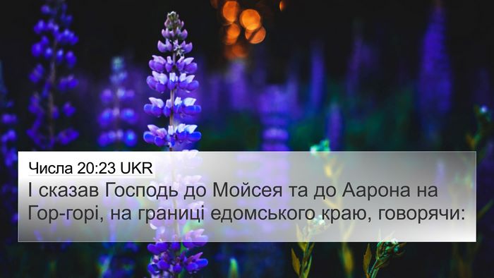 Числа 20:23 UKR 4K Wallpaper - І сказав Господь до Мойсея - 4K Wallpaper Bible Verse