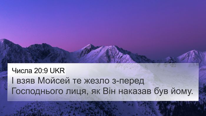 Числа 20:9 UKR Bible Verse Image