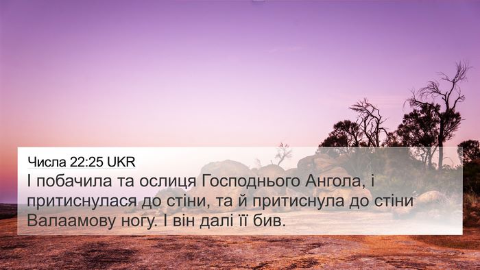 Числа 22:25 UKR 4K Wallpaper - І побачила та ослиця - 4K Wallpaper Bible Verse