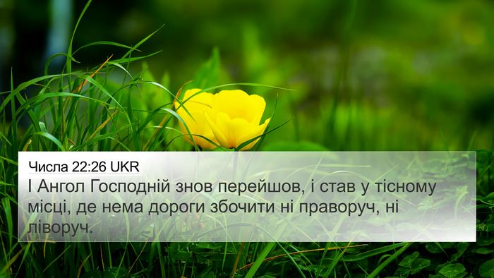 Числа 22:26 UKR 4K Wallpaper - І Ангол Господній знов - 4K Wallpaper Bible Verse