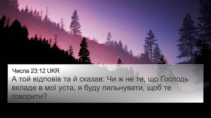 Числа 23:12 UKR Bible Verse Image
