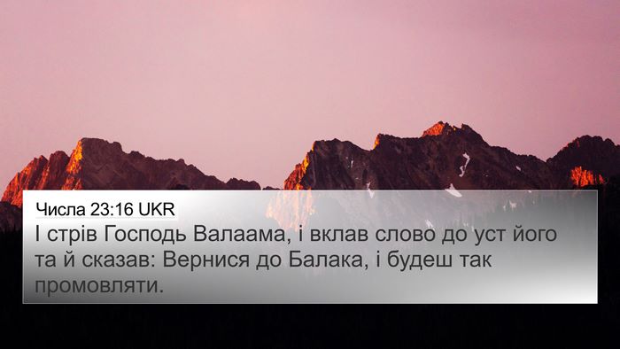 Числа 23:16 UKR Bible Verse Image