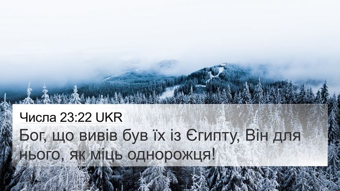 Числа 23:22 UKR Bible Verse Image