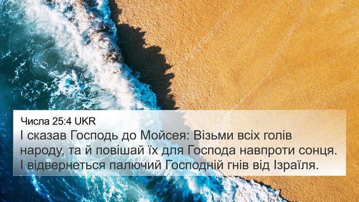 Числа 25:4 UKR Bible Verse Image