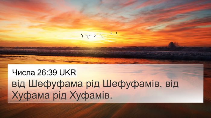 Числа 26:39 UKR 4K Wallpaper - від Шефуфама рід - 4K Wallpaper Bible Verse