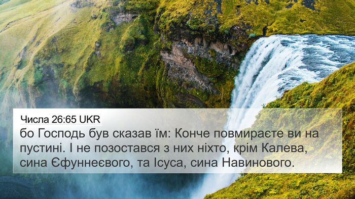 Числа 26:65 UKR Bible Verse Image