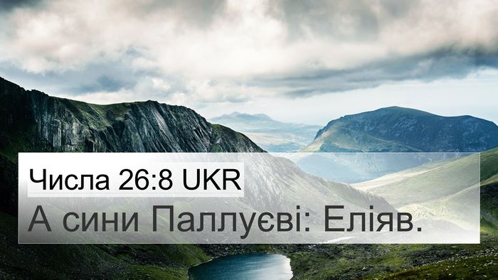 Числа 26:8 UKR 4K Wallpaper - А сини Паллуєві: - 4K Wallpaper Bible Verse