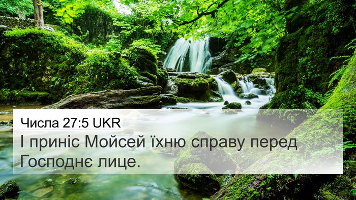 Числа 27:5 UKR Bible Verse Image