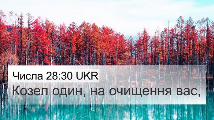 Числа 28:30 UKR 4K Wallpaper - Козел один, на очищення - 4K Wallpaper Bible Verse