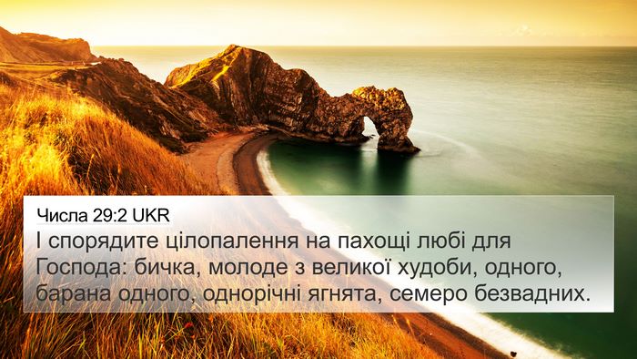 Числа 29:2 UKR Bible Verse Image