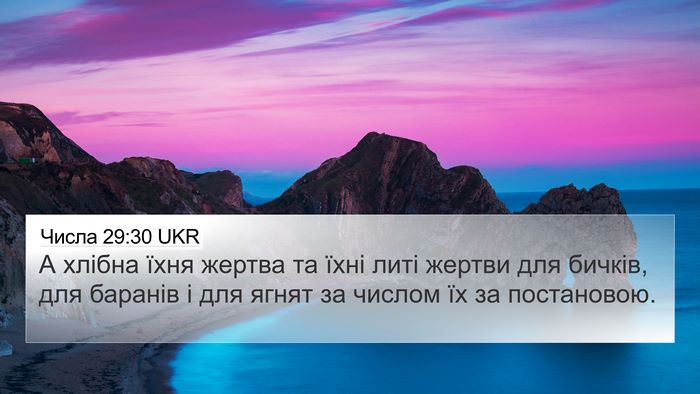 Числа 29:30 UKR 4K Wallpaper - А хлібна їхня жертва та - 4K Wallpaper Bible Verse
