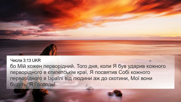 Числа 3:13 UKR 4K Wallpaper - бо Мій кожен перворідний. - 4K Wallpaper Bible Verse