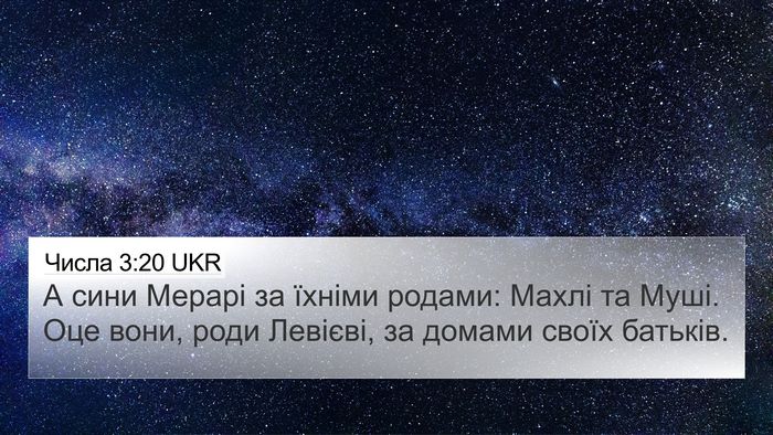 Числа 3:20 UKR Bible Verse Image