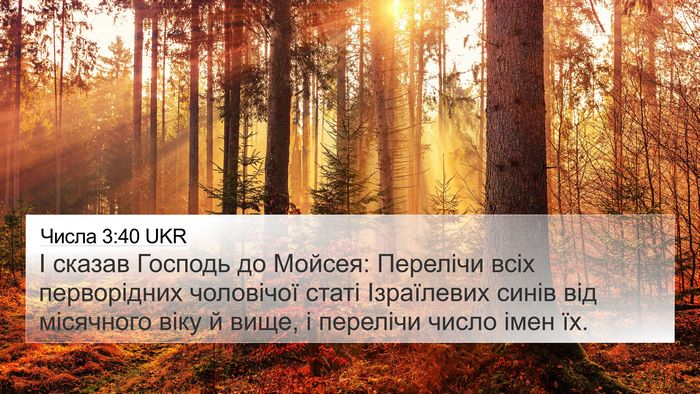 Числа 3:40 UKR Bible Verse Image