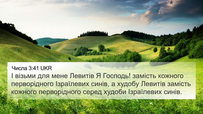 Числа 3:41 UKR Bible Verse Image
