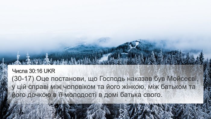 Числа 30:16 UKR Bible Verse Image