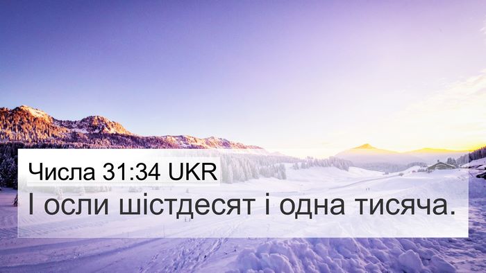 Числа 31:34 UKR 4K Wallpaper - І осли шістдесят і одна - 4K Wallpaper Bible Verse