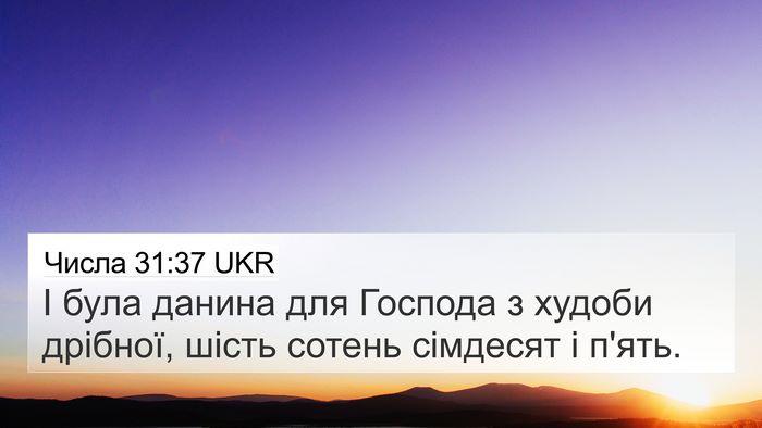 Числа 31:37 UKR Bible Verse Image