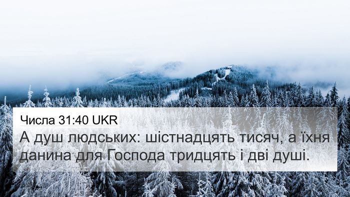 Числа 31:40 UKR 4K Wallpaper - А душ людських: - 4K Wallpaper Bible Verse