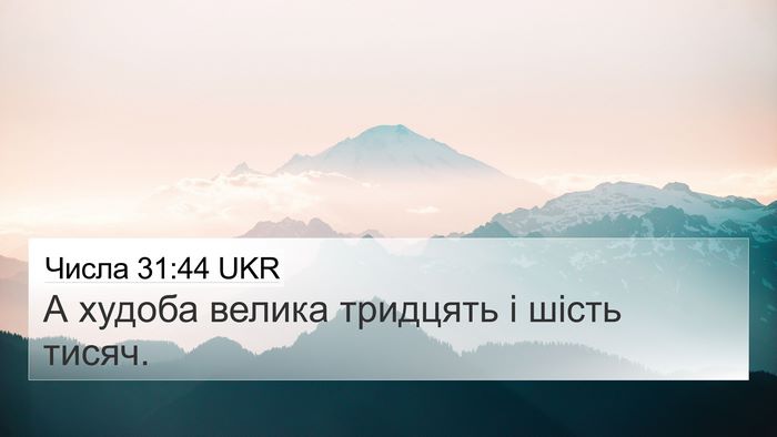 Числа 31:44 UKR 4K Wallpaper - А худоба велика тридцять і - 4K Wallpaper Bible Verse