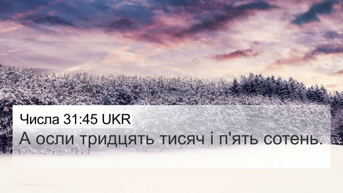 Числа 31:45 UKR 4K Wallpaper - А осли тридцять тисяч і - 4K Wallpaper Bible Verse