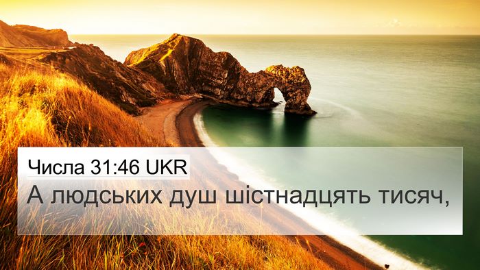 Числа 31:46 UKR 4K Wallpaper - А людських душ шістнадцять - 4K Wallpaper Bible Verse