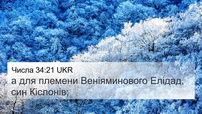 Числа 34:21 UKR 4K Wallpaper - а для племени - 4K Wallpaper Bible Verse