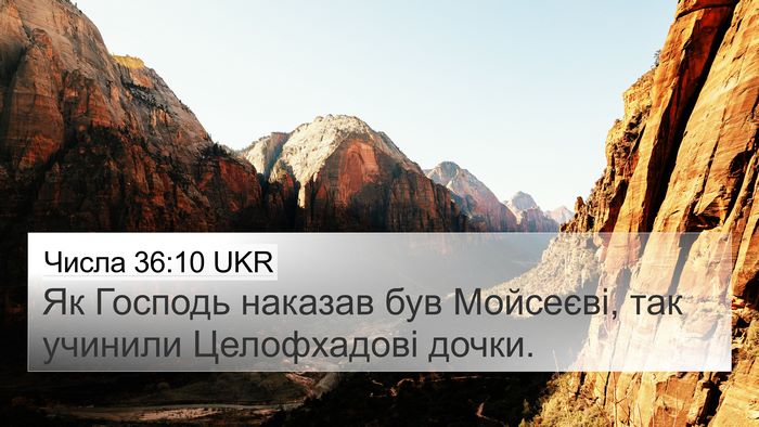 Числа 36:10 UKR Bible Verse Image