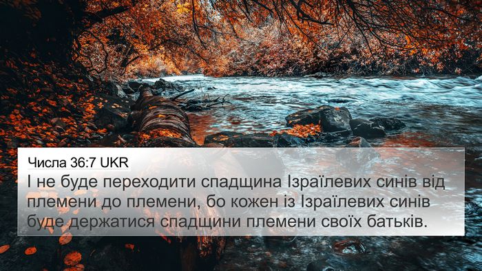 Числа 36:7 UKR 4K Wallpaper - І не буде переходити - 4K Wallpaper Bible Verse