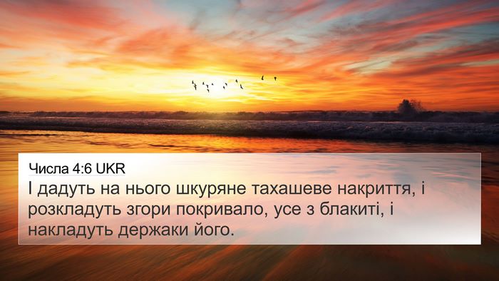 Числа 4:6 UKR Bible Verse Image