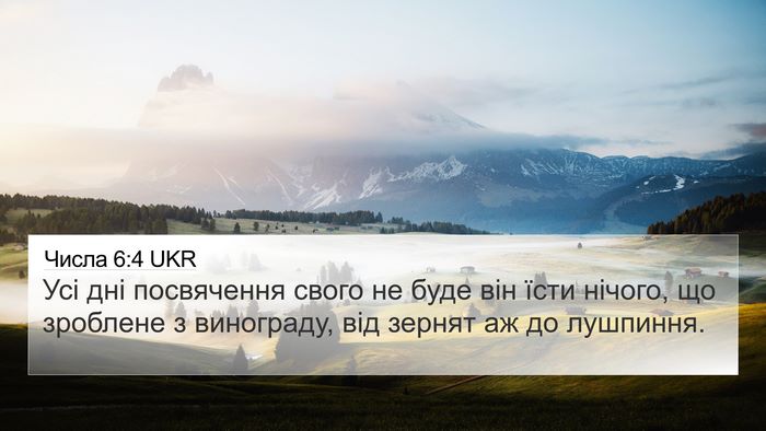 Числа 6:4 UKR Bible Verse Image