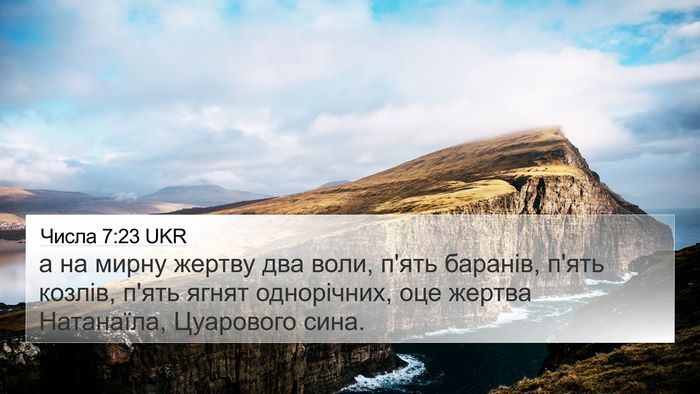 Числа 7:23 UKR Bible Verse Image