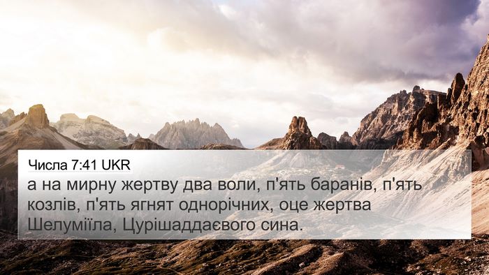 Числа 7:41 UKR Bible Verse Image