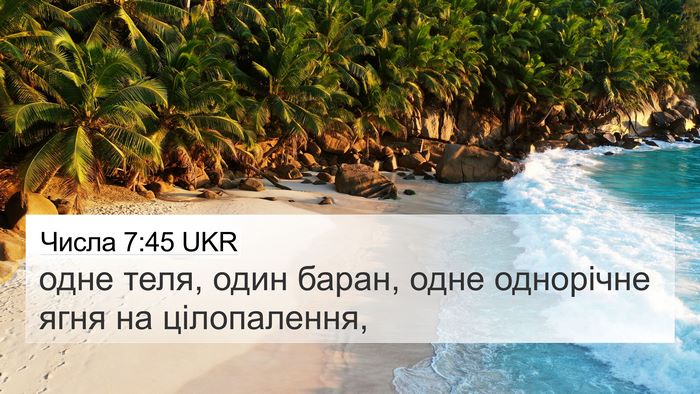 Числа 7:45 UKR 4K Wallpaper - одне теля, один баран, одне - 4K Wallpaper Bible Verse
