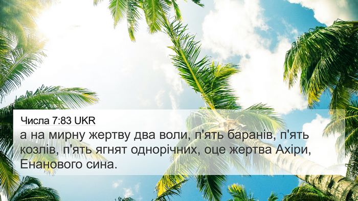 Числа 7:83 UKR 4K Wallpaper - а на мирну жертву два воли, - 4K Wallpaper Bible Verse