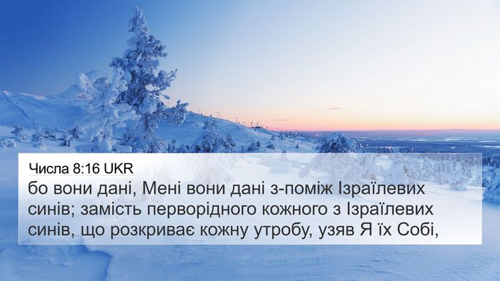 Числа 8:16 UKR Bible Verse Image