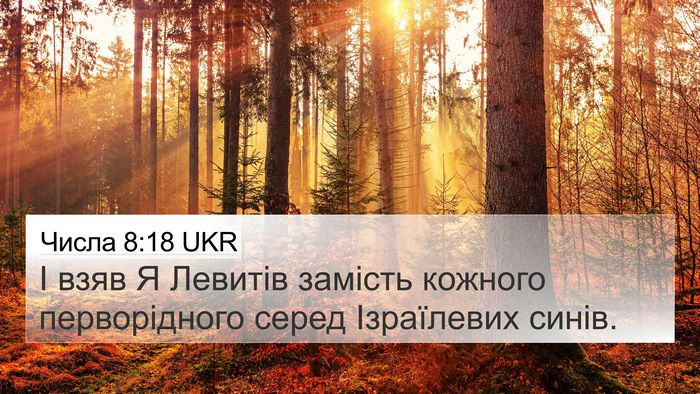 Числа 8:18 UKR Bible Verse Image