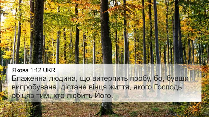 Якова 1:12 UKR Bible Verse Image