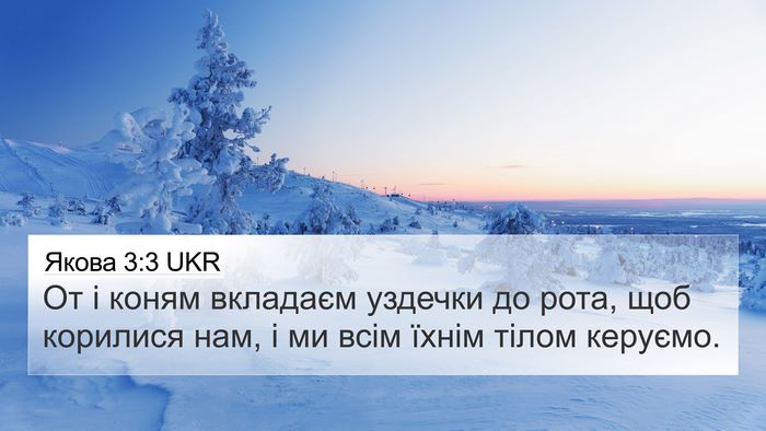 Якова 3:3 UKR 4K Wallpaper - От і коням вкладаєм - 4K Wallpaper Bible Verse