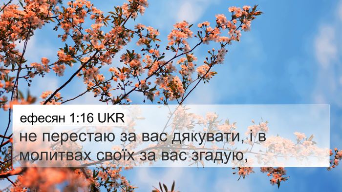 ефесян 1:16 UKR Bible Verse Image